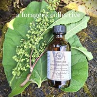 cleansing root tincture - yellow dock burdock dandelion