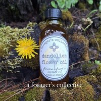 dandelion flower infused oil - herbal skin serum