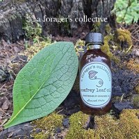 comfrey leaf oil - boneknitter herbal infusion