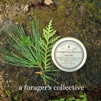 pine & resin salve - evergreen forest balm