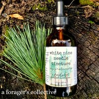 pine needle tincture - pinus strobus double extraction