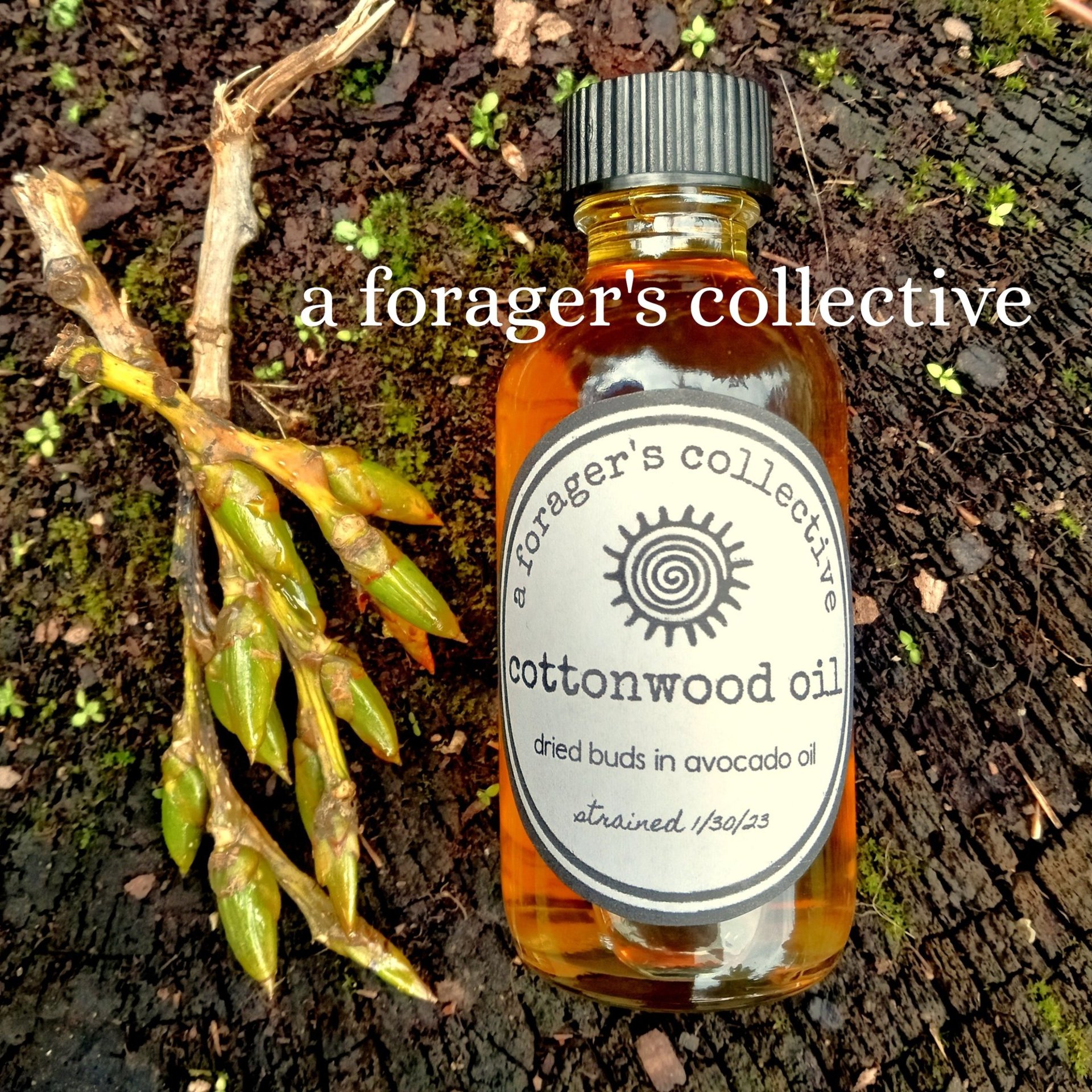 cottonwood resin oil - balm of gilead double infused