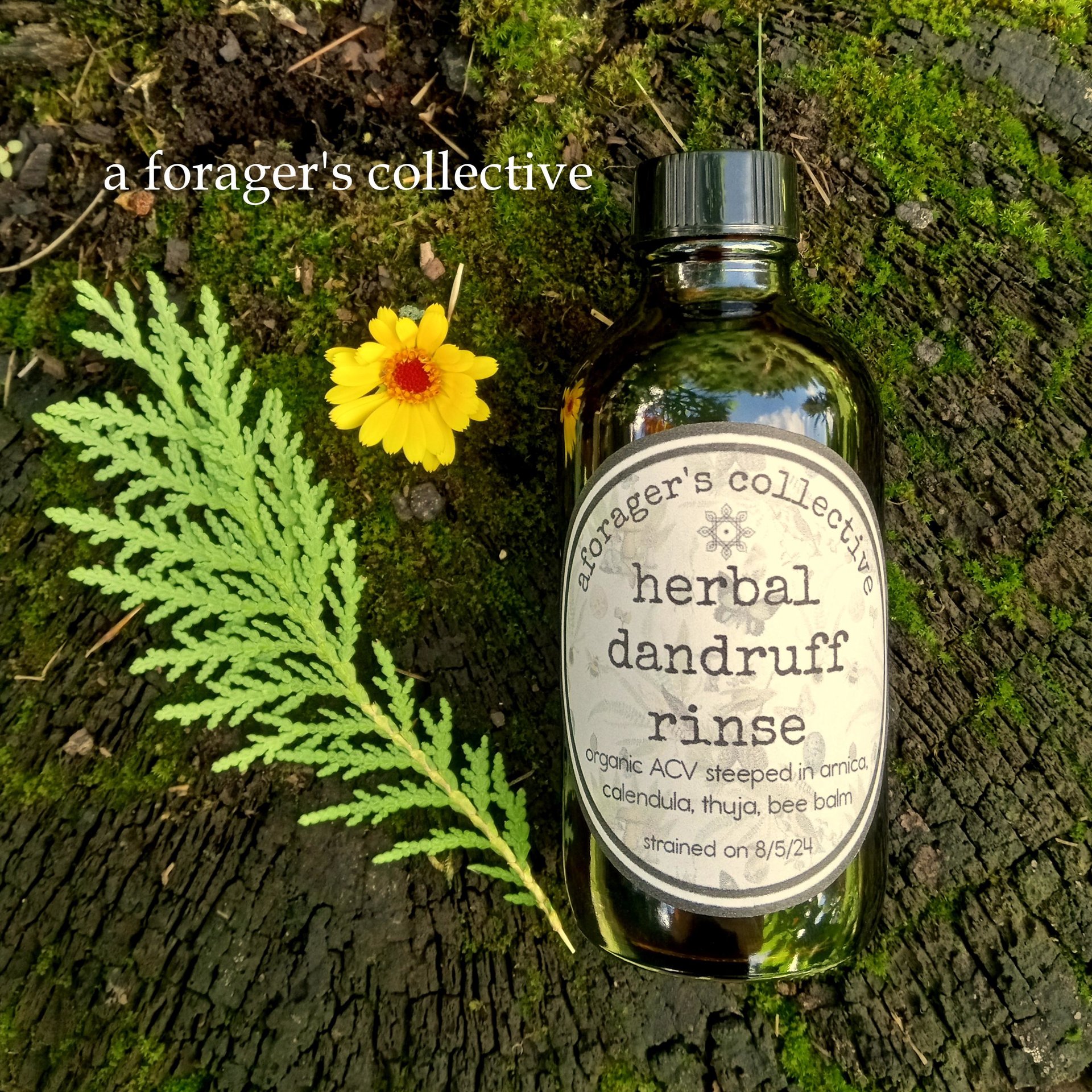 herbal dandruff rinse - acv anti bacterial infusion