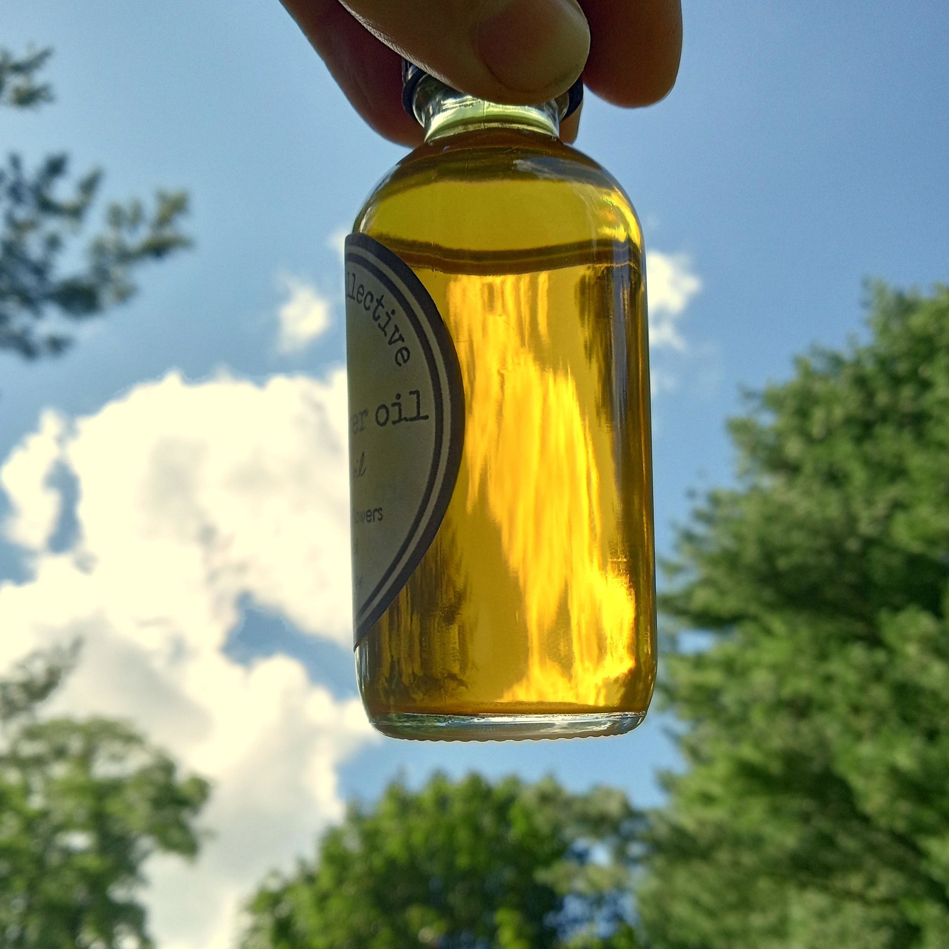 arnica montana oil - dried flower herbal infusion