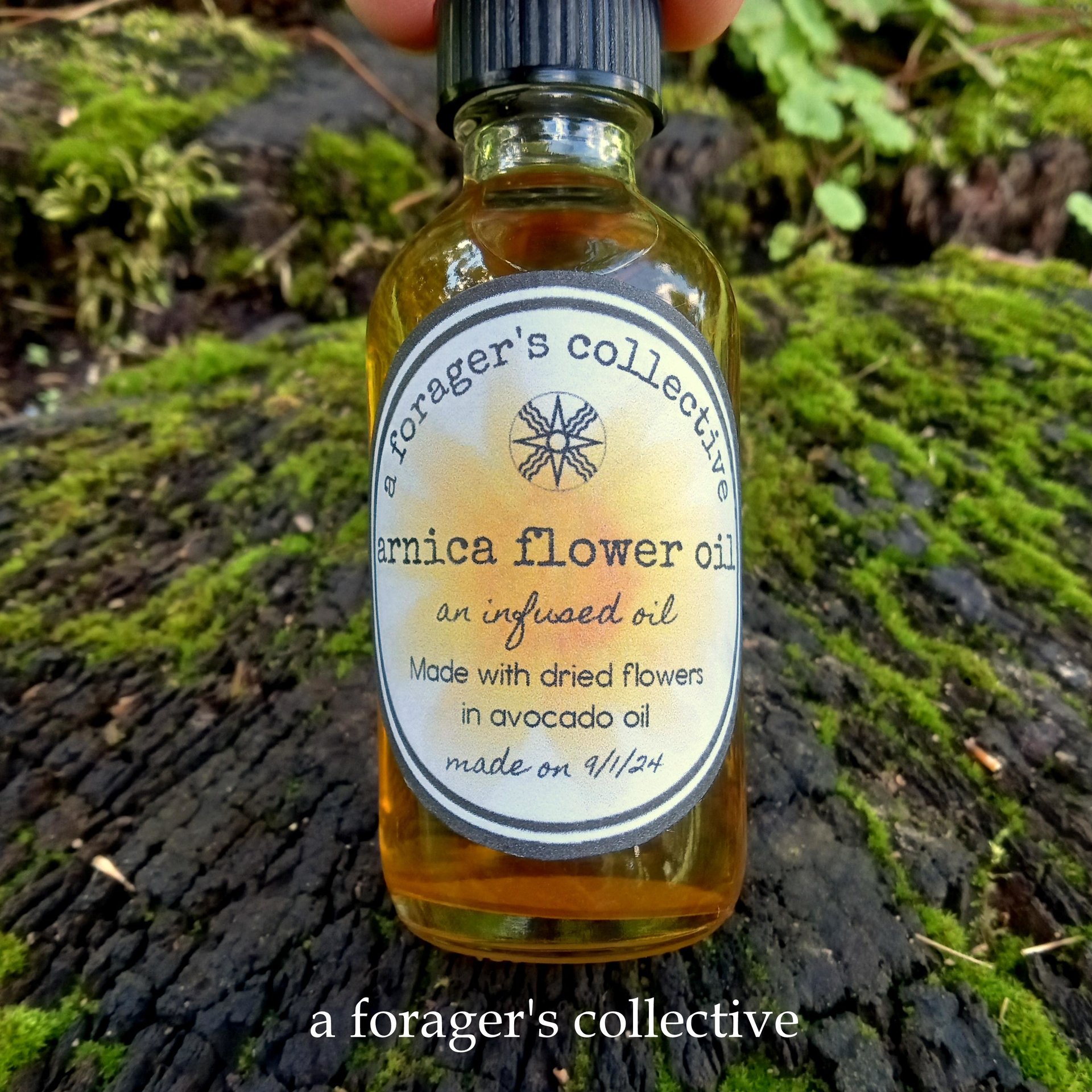 arnica montana oil - dried flower herbal infusion