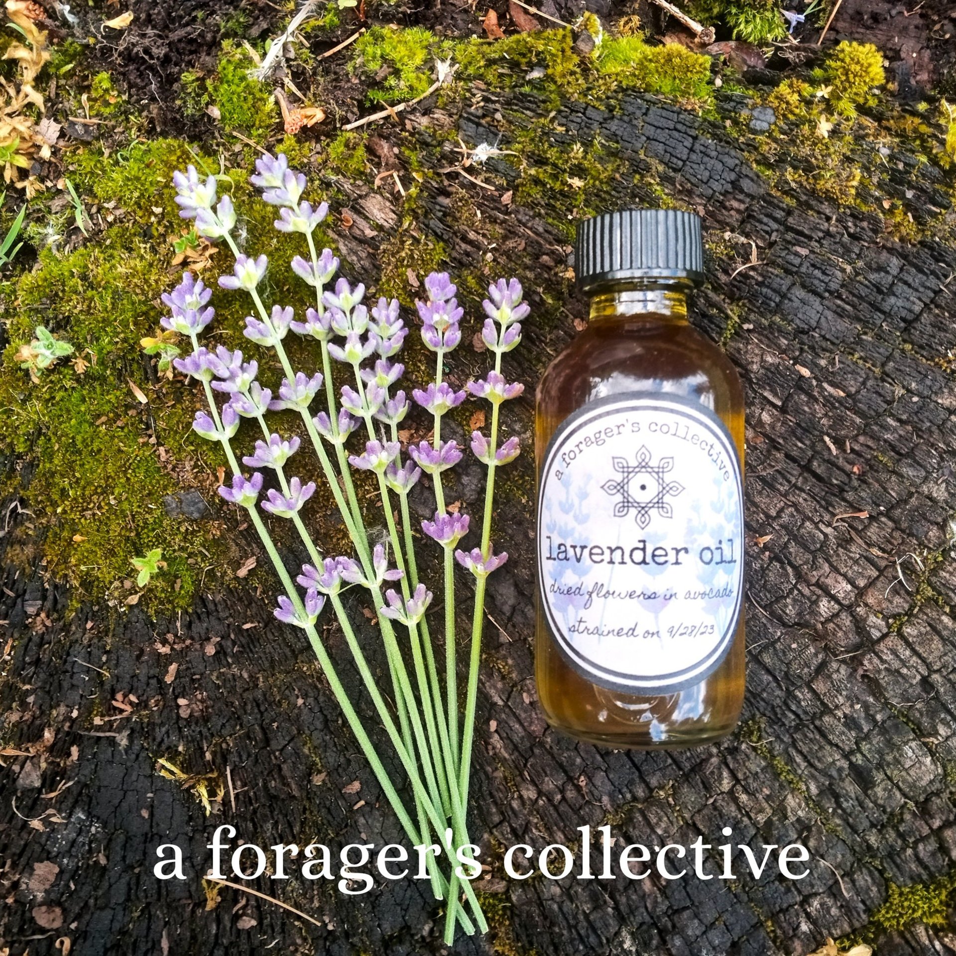 lavender flower infused oil - essential oil free