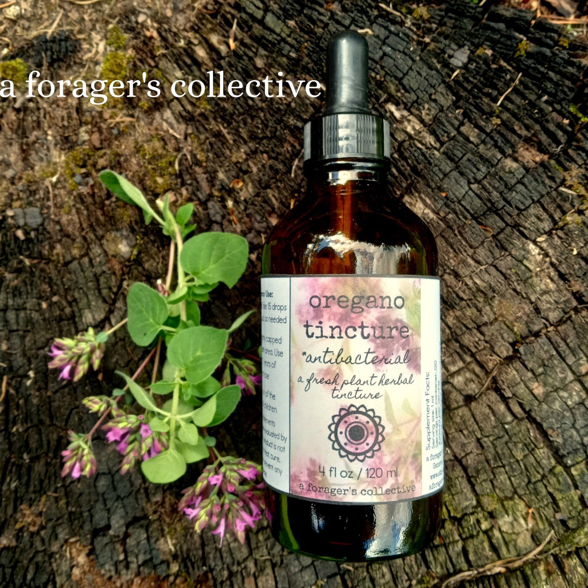 oregano tincture - origanum vulgare leaf extract