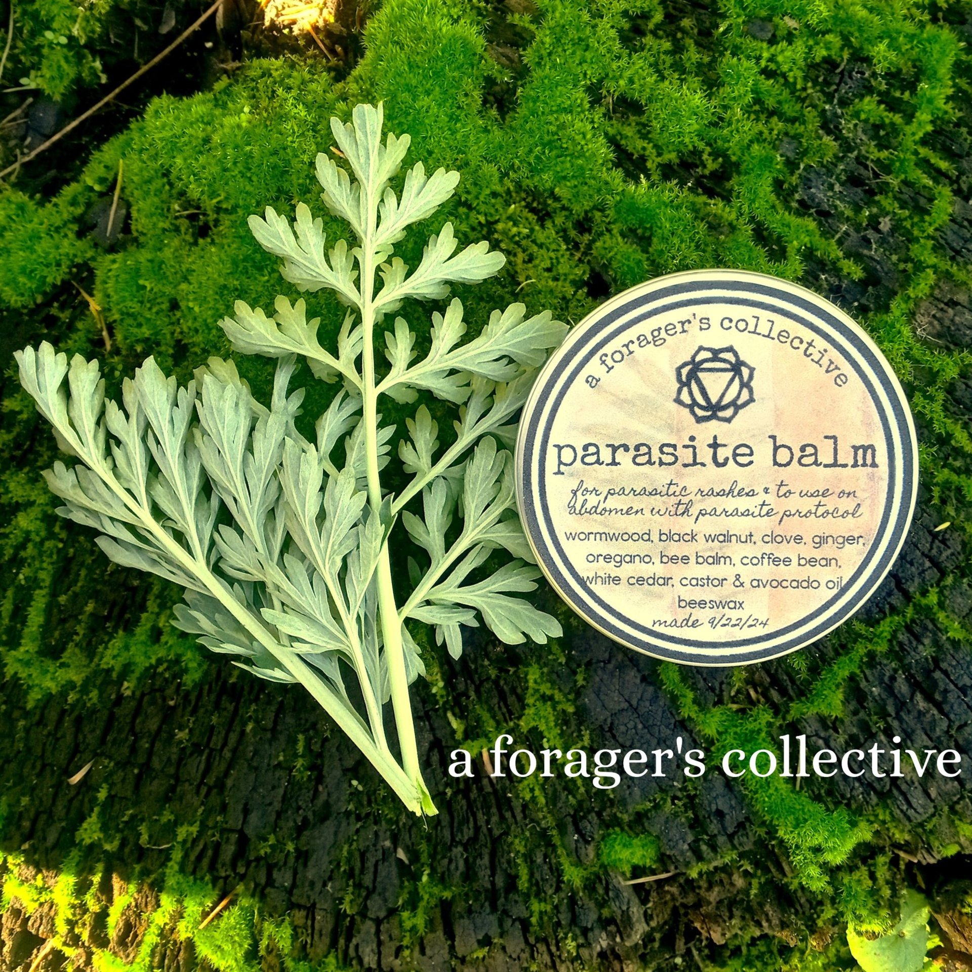 parasite balm - antiparasitic herbal ointment