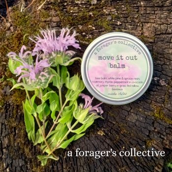 chest balm - move it out herbal salve w/bee balm