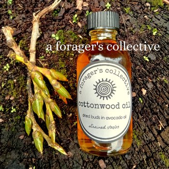 cottonwood resin oil - balm of gilead double infused
