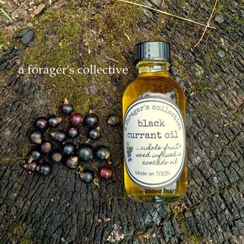 black currant oil - fruit & seed herbal infusion