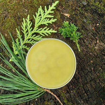 pine & resin salve - evergreen forest balm