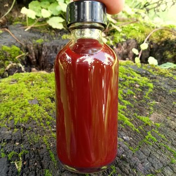 st johns wort oil - hypericum perforatum infusion