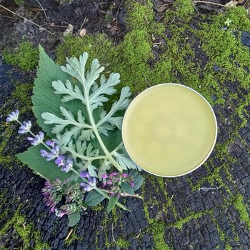 gut balm - herbal digestive & bloat assistance