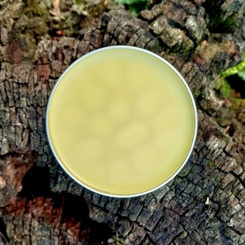 bruise balm - herbal ointment