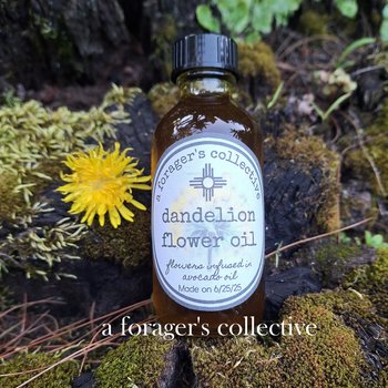 dandelion flower infused oil - herbal skin serum