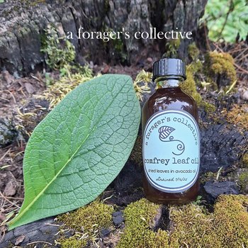 comfrey leaf oil - boneknitter herbal infusion