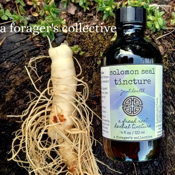 solomon seal tincture - fresh root extract