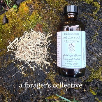 stinging nettle root tincture - full spectrum blend