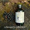 black currant tincture - fresh berry extract