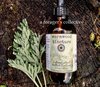 wormwood tincture - artemisia absinthium extract