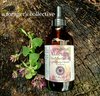 oregano tincture - origanum vulgare leaf extract
